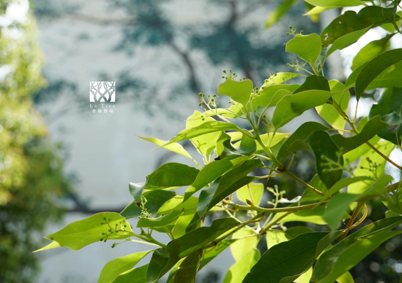 La Tree 普椿農場木子莊園 Donghe Exterior foto