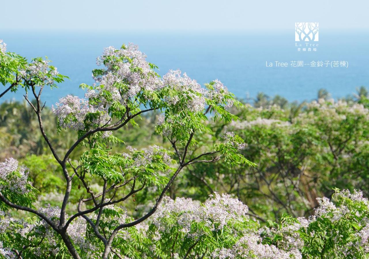 La Tree 普椿農場木子莊園 Donghe Exterior foto