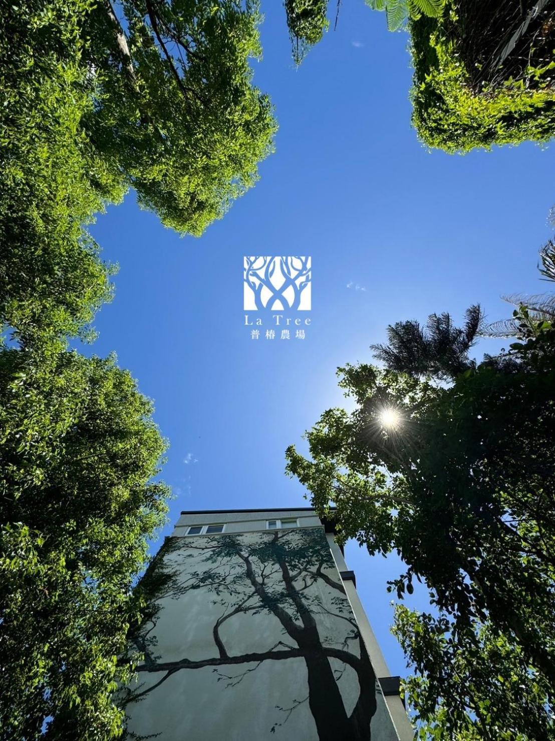 La Tree 普椿農場木子莊園 Donghe Exterior foto